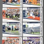2019 Score Football CELEBRATION 10 Card Insert Set