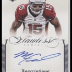 2014 Panini Flawless Inscriptions Michael Floyd #/25 Auto #29