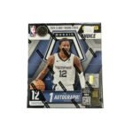 2024-25 Panini NBA Mosaic Choice