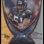 2006 Topps Super Tix Lofa Tatupu #ST2
