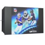 Fanatics Authentic Under Wraps 2024 NFL Single Football Mystery Box